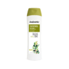 shower gel med olivenolie vegansk babaria