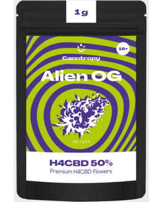 Canntropy H4CBD topskud Alien OG – 50 % H4CBD