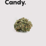 Life CBD Green Candy topskud –  7% CBD