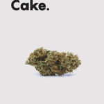 Life CBD Strawberry Cake topskud – 16% CBD