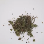 CBD te økologisk – 30g